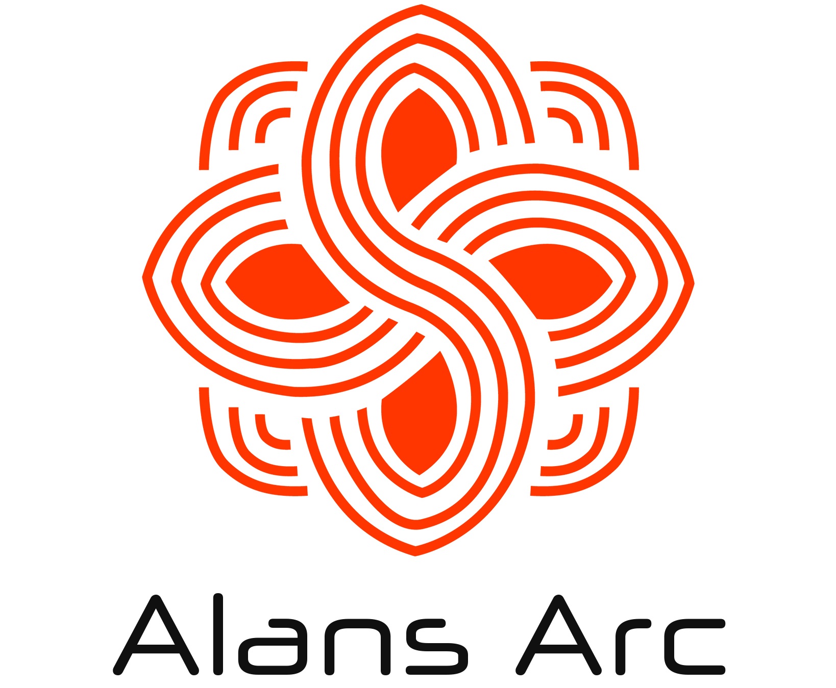alns Logo